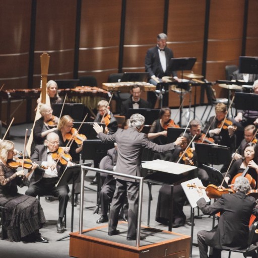 Austin Symphony Orchestra Birmingham Tickets