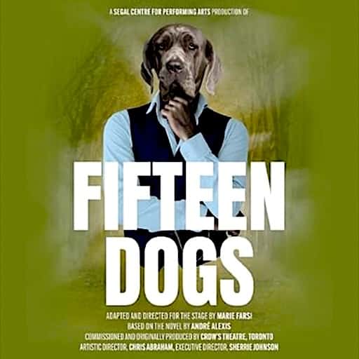 Fifteen Dogs in Birmingham