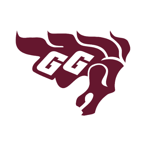 Ottawa Gee Gees Tickets