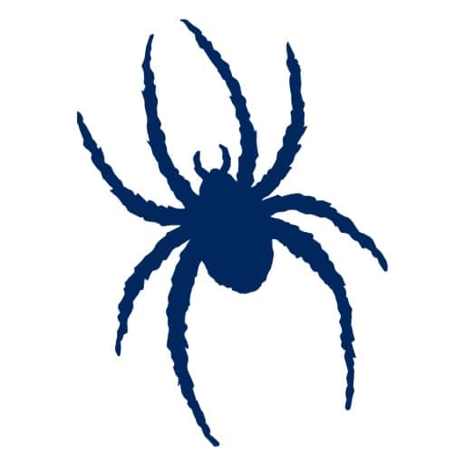 Richmond Spiders Football Tickets
