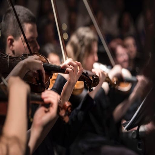 Sibelius Violin Concerto Birmingham Concert Tickets