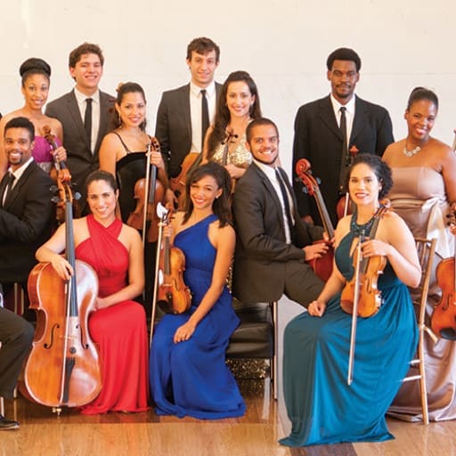 Sphinx Virtuosi Birmingham Concert Tickets
