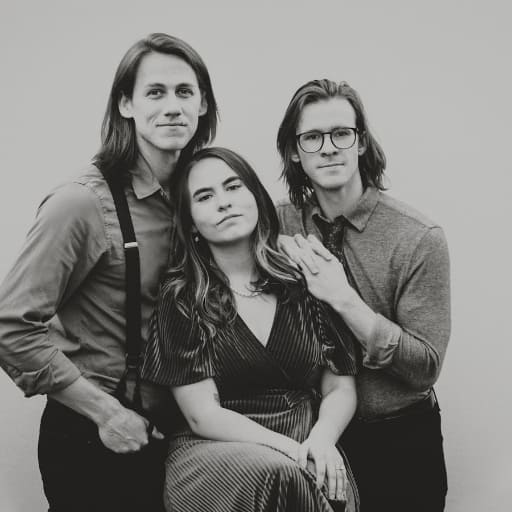 The Arcadian Wild Birmingham Concert Tickets