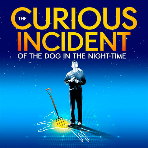 The Curious Incident of the Dog in the Night-Time Birmingham Tickets