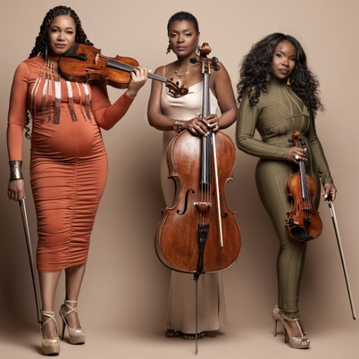 The String Queens Birmingham Tickets