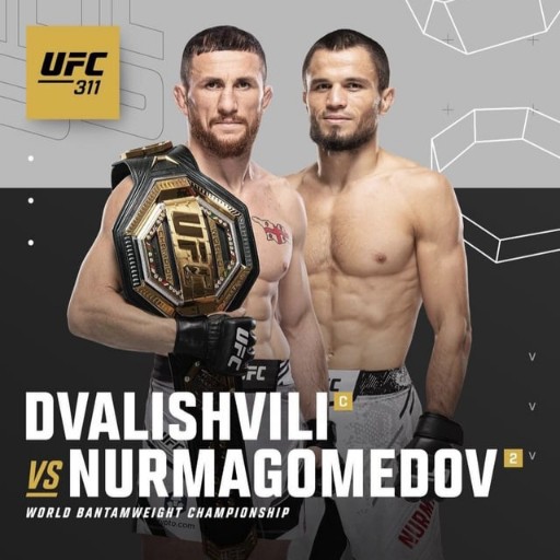 UFC 311 Tickets