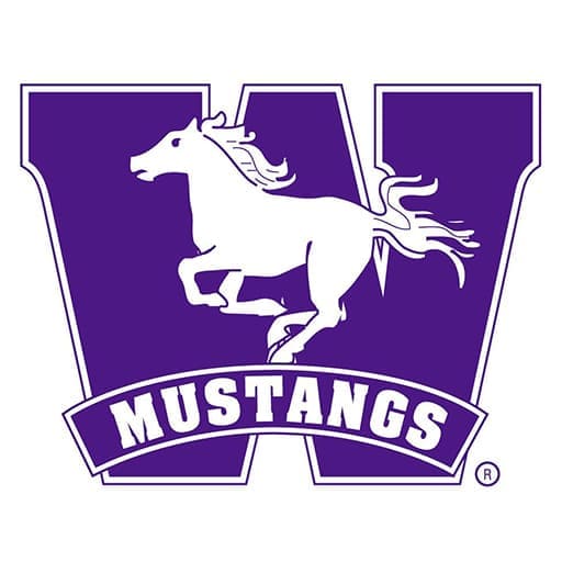 Western Ontario Mustangs Hockey